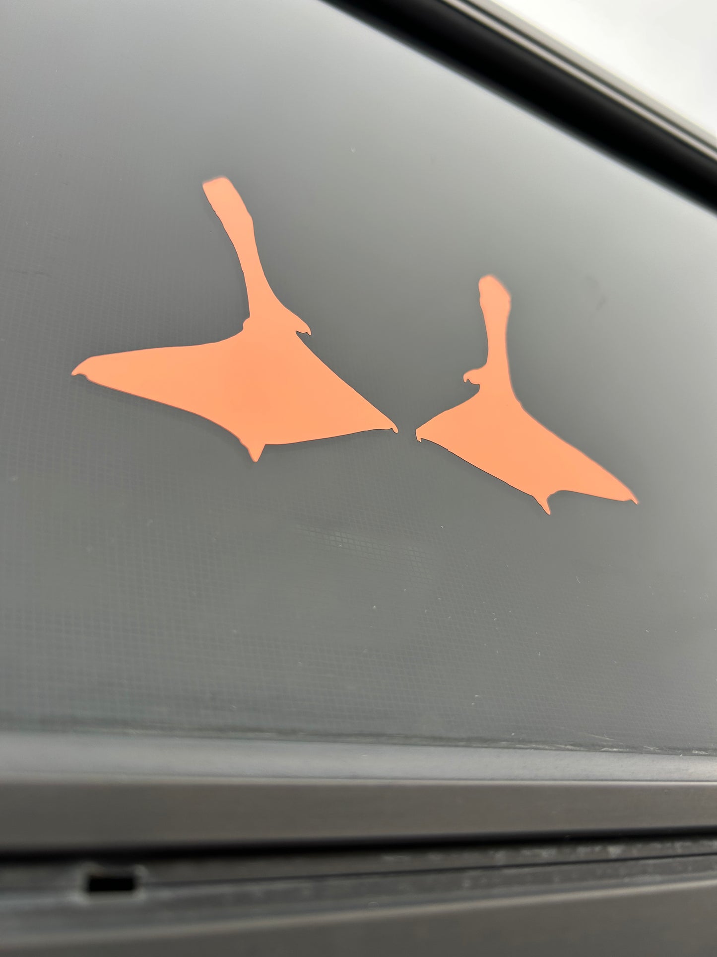 (Feet Only) Howard’s Orange Feet Decal